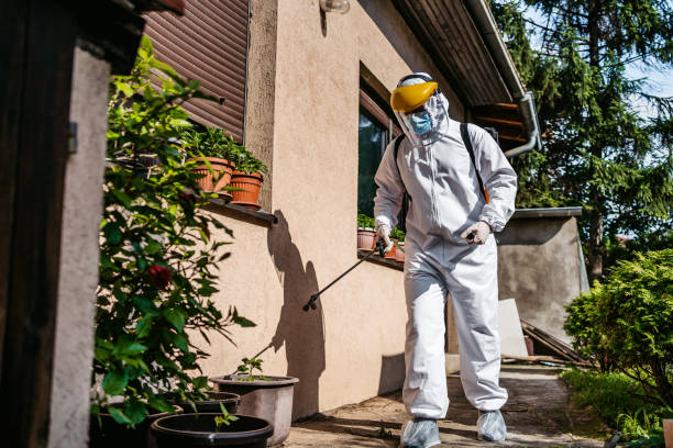 Best Wildlife Control Services  in Way, NE