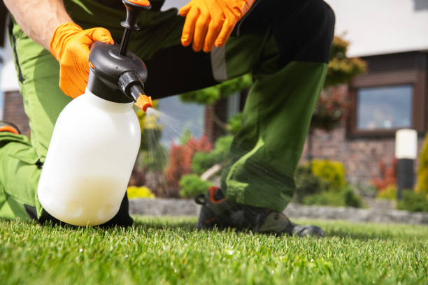 Best Affordable Pest Control Services  in Way, NE