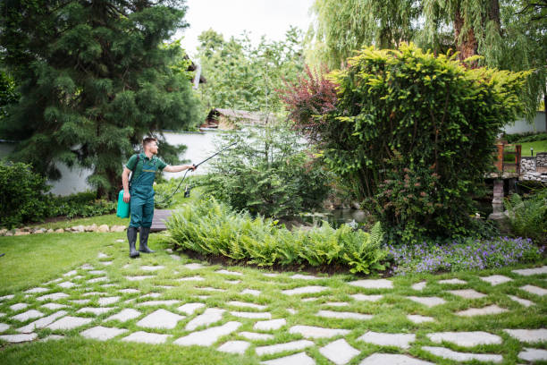 Best Residential Pest Control  in Way, NE