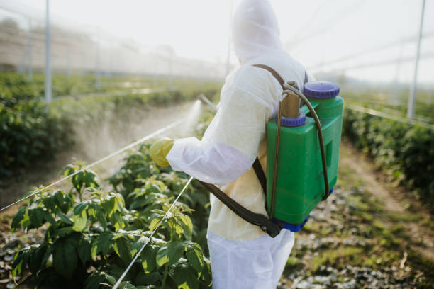 Best Pest Removal Services  in Way, NE
